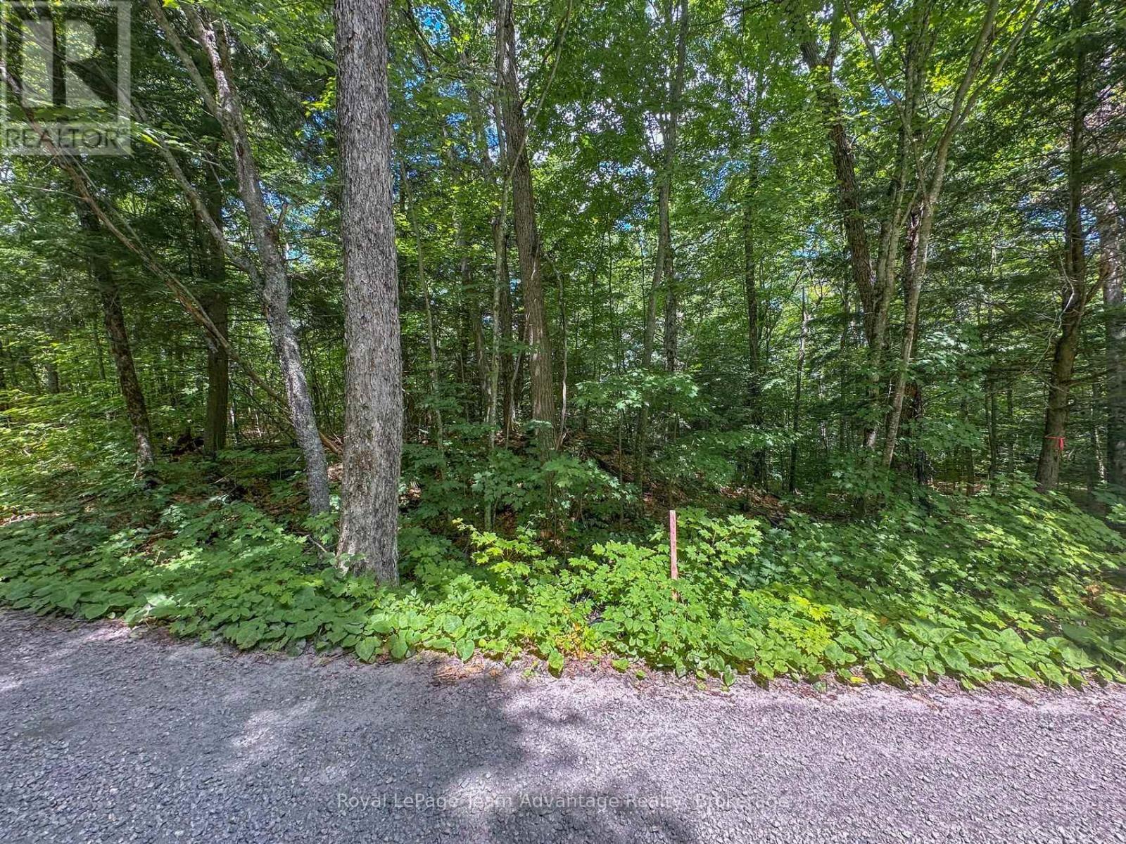 186 Silver Lake Road E, Magnetawan, Ontario  P0A 1P0 - Photo 3 - X12273734