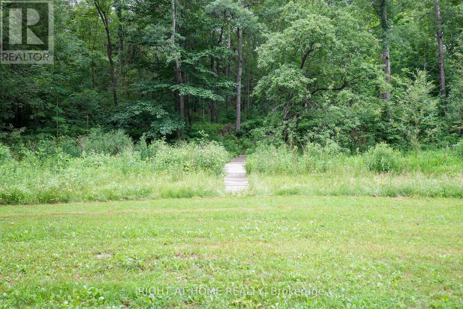 3421 13 Line, Bradford West Gwillimbury, Ontario  L0L 1L0 - Photo 36 - N12273649