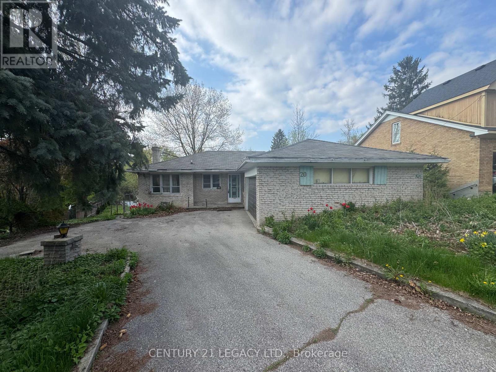 20 Leland Avenue, Toronto (Stonegate-Queensway), Ontario  M8Z 2X5 - Photo 6 - W12273624