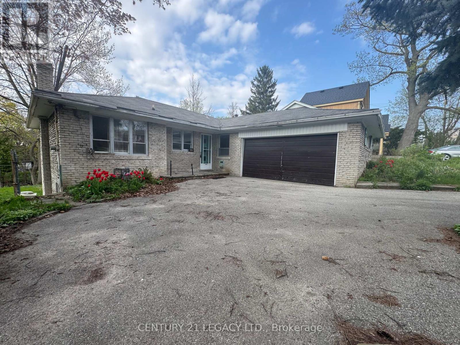 20 Leland Avenue, Toronto (Stonegate-Queensway), Ontario  M8Z 2X5 - Photo 8 - W12273624