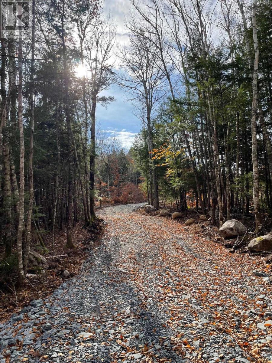 Lots 5 & 6 New Elm Road, New Elm, Nova Scotia  B4V 2W5 - Photo 5 - 202504093