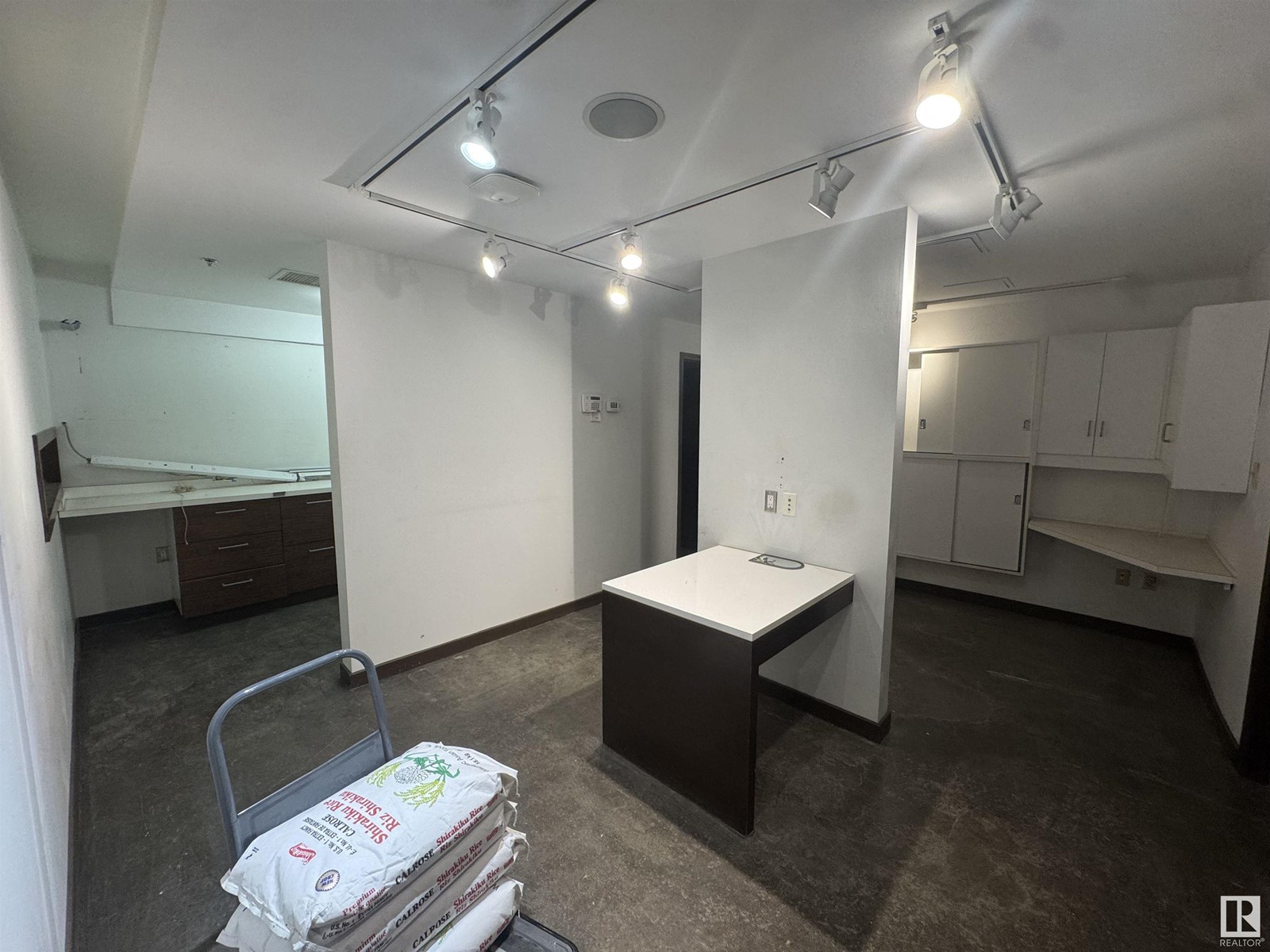 10724 82 Av Nw, Edmonton, Alberta  T6E 6P5 - Photo 3 - E4446765