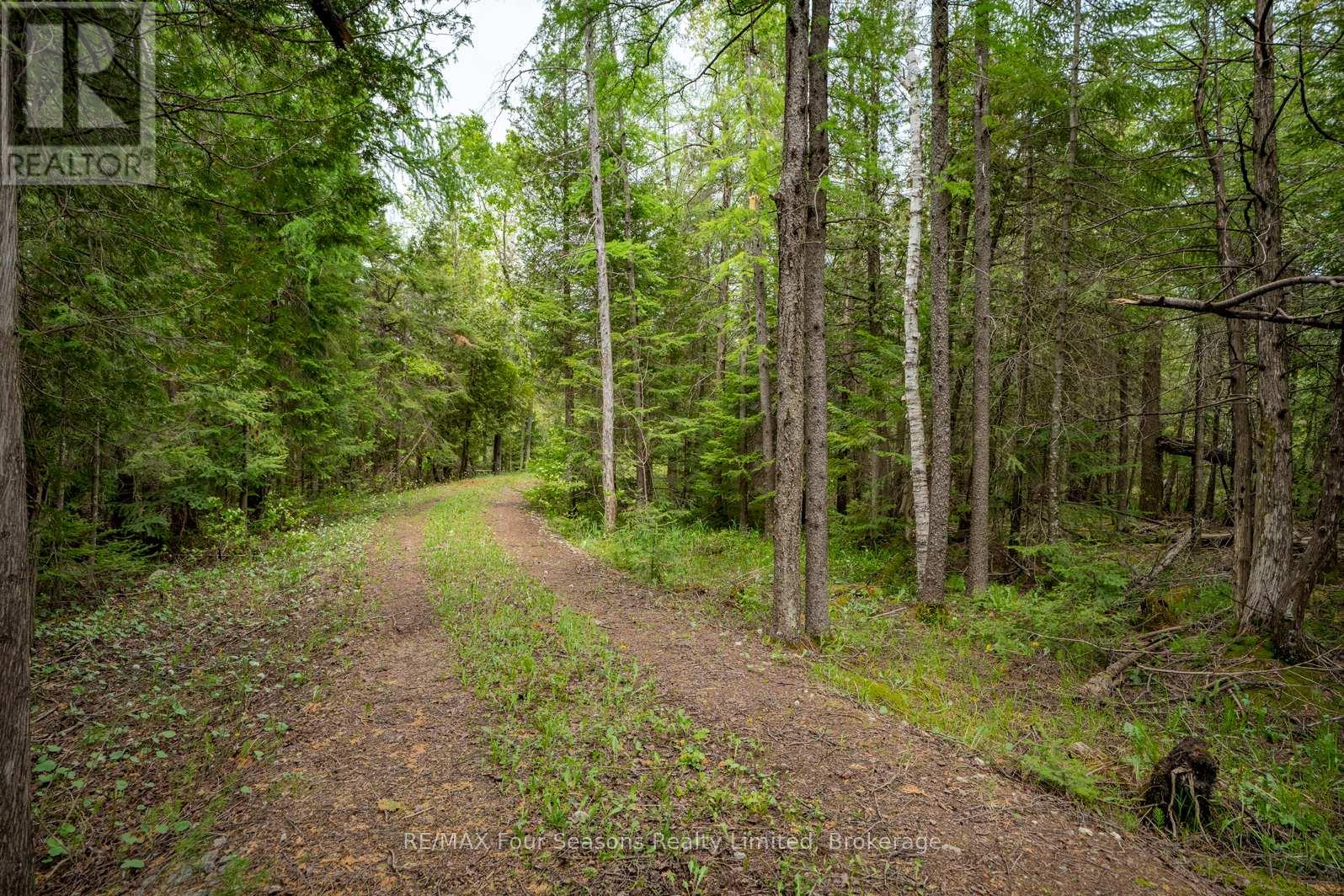 348305 4th Concession B, Grey Highlands, Ontario  N0C 1H0 - Photo 10 - X12274133