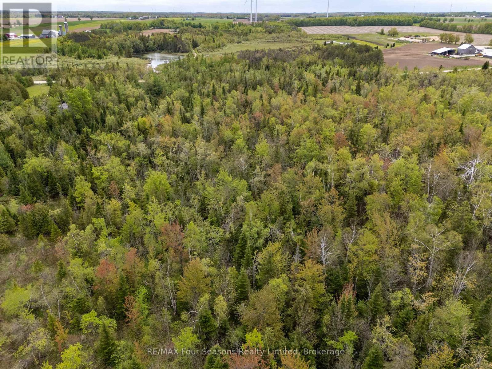 348305 4th Concession B, Grey Highlands, Ontario  N0C 1H0 - Photo 6 - X12274133
