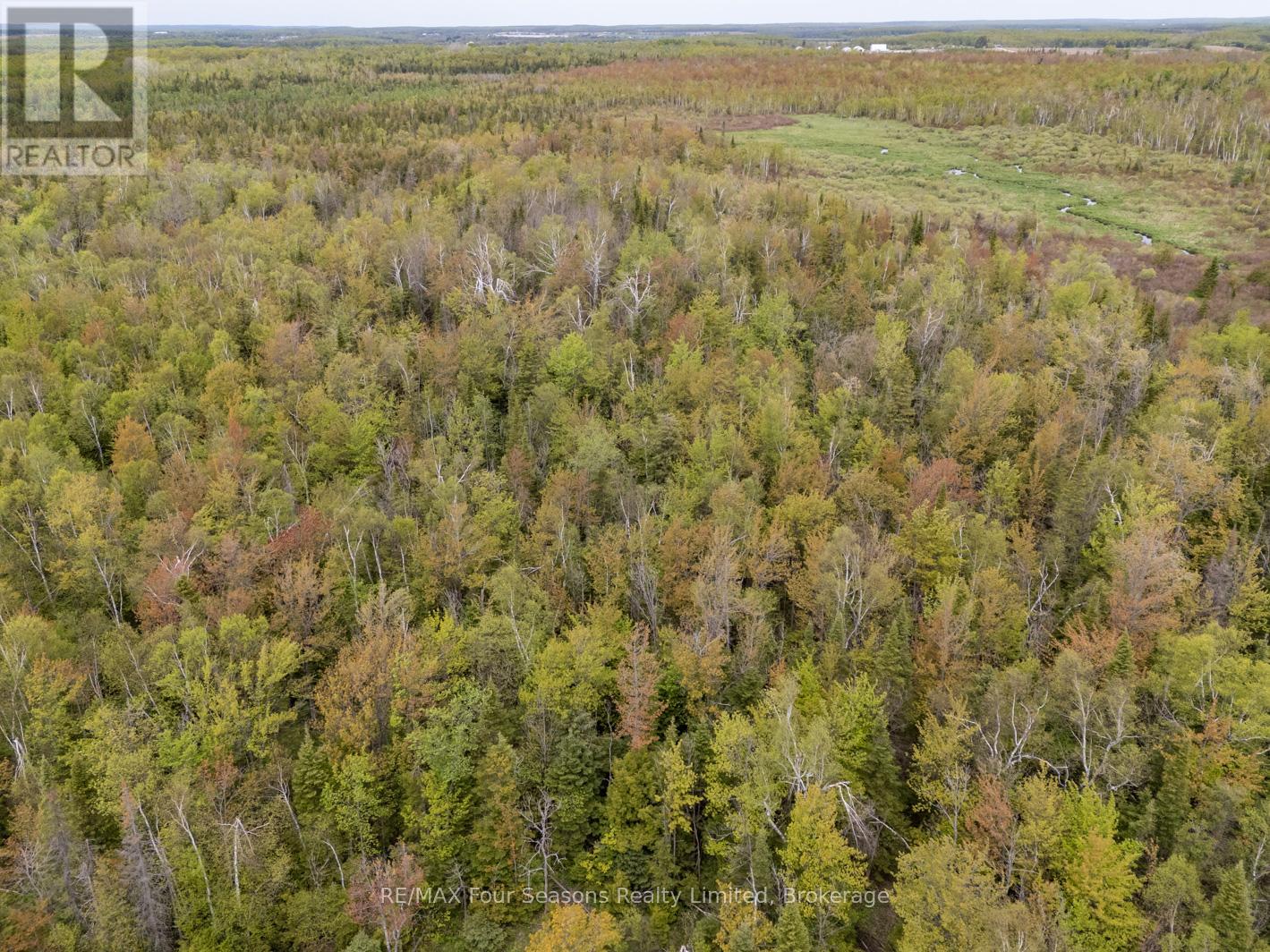 348305 4th Concession B, Grey Highlands, Ontario  N0C 1H0 - Photo 9 - X12274133