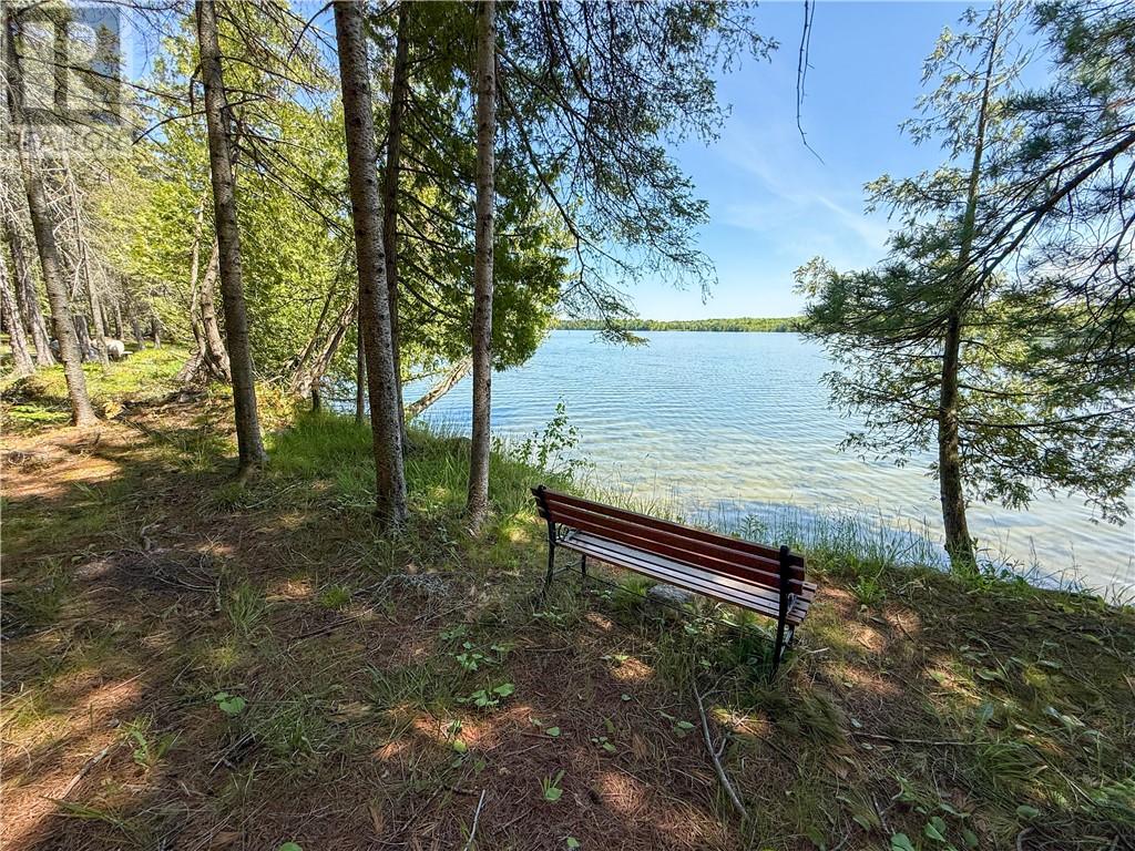 1278 Ice Lake Drive, Manitoulin Island, Ontario  P0P 1H0 - Photo 61 - 2119624