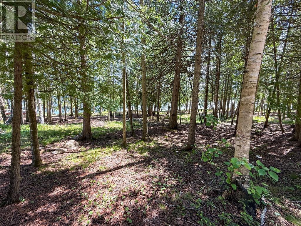 1278 Ice Lake Drive, Manitoulin Island, Ontario  P0P 1H0 - Photo 63 - 2119624