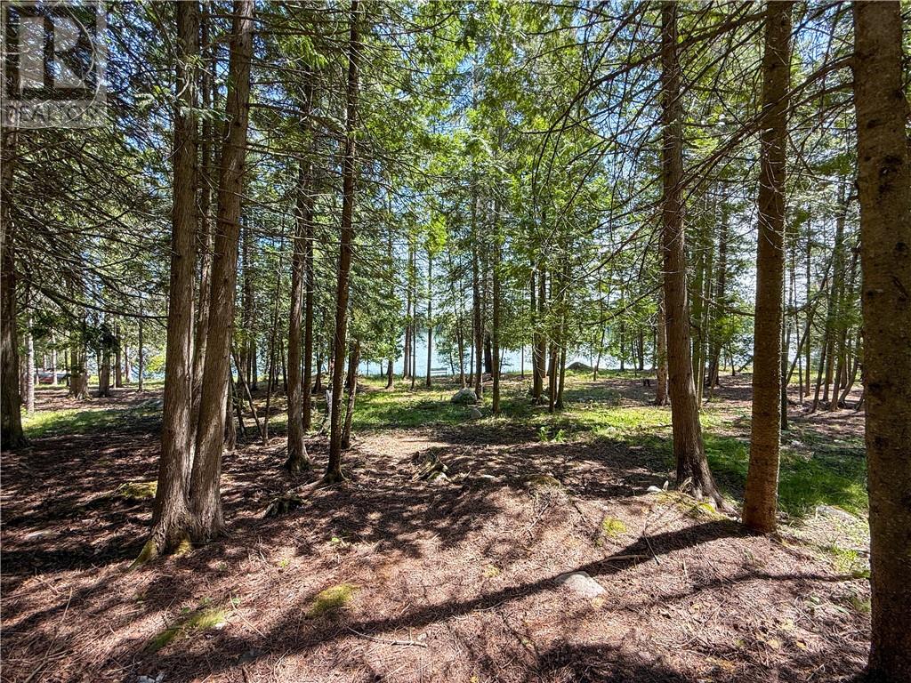 1278 Ice Lake Drive, Manitoulin Island, Ontario  P0P 1H0 - Photo 66 - 2119624
