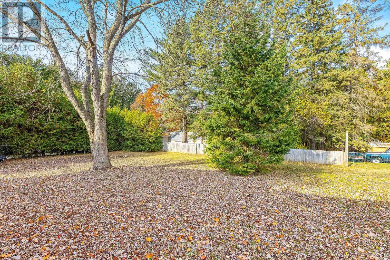 274 Alma Street, Guelph/eramosa, Ontario  N0B 2K0 - Photo 35 - X12274205