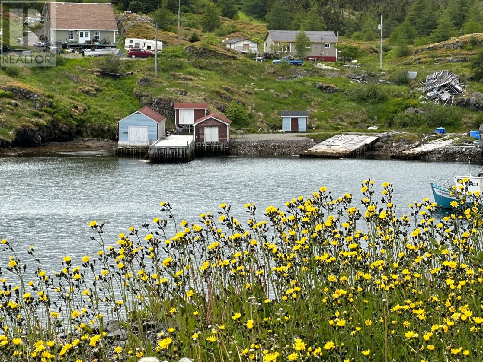 0 Main Road, Old Bonaventure, Newfoundland & Labrador  A0C 2K0 - Photo 1 - 1287668