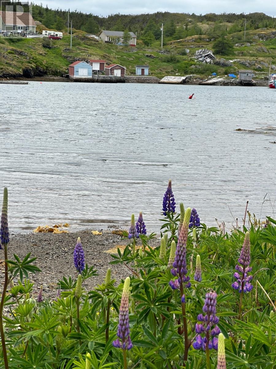 0 Main Road, Old Bonaventure, Newfoundland & Labrador  A0C 2K0 - Photo 30 - 1287668