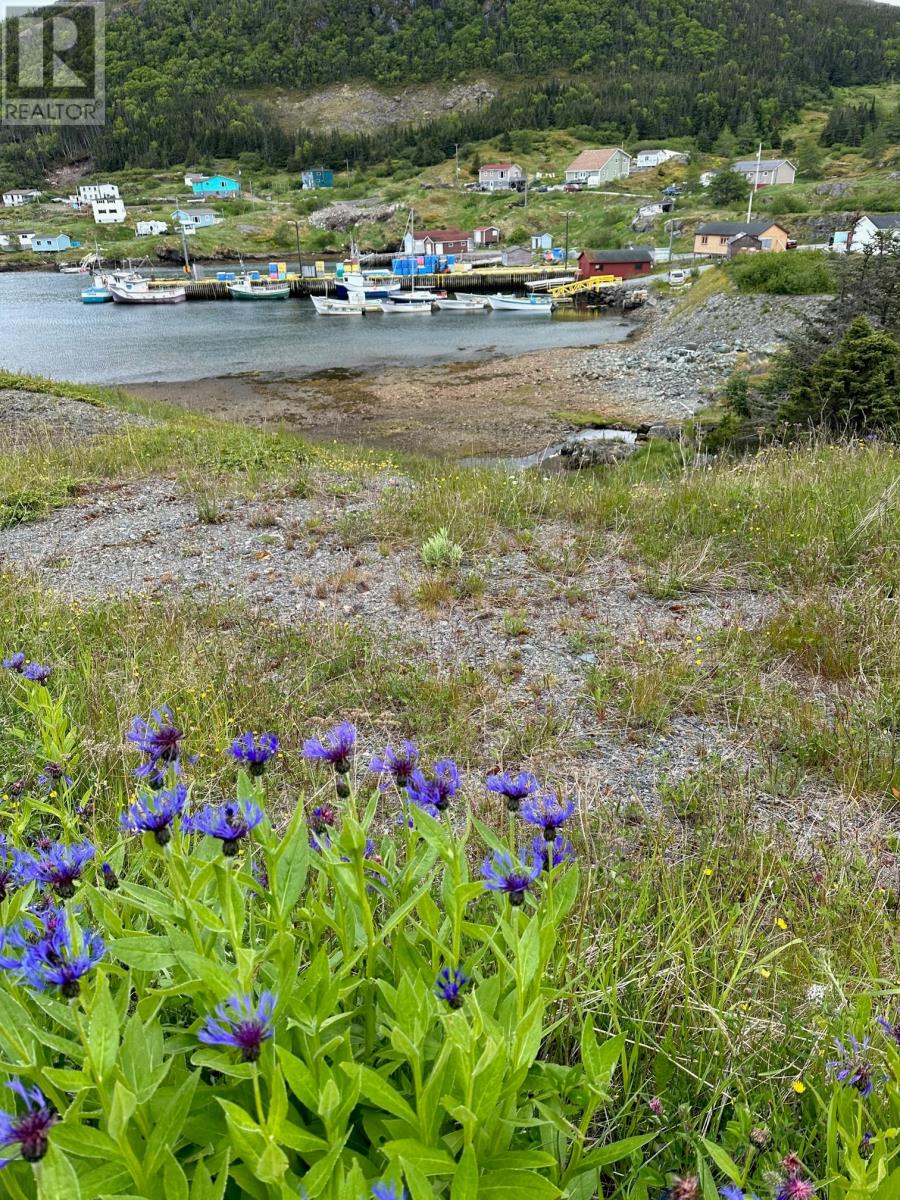 0 Main Road, Old Bonaventure, Newfoundland & Labrador  A0C 2K0 - Photo 28 - 1287668