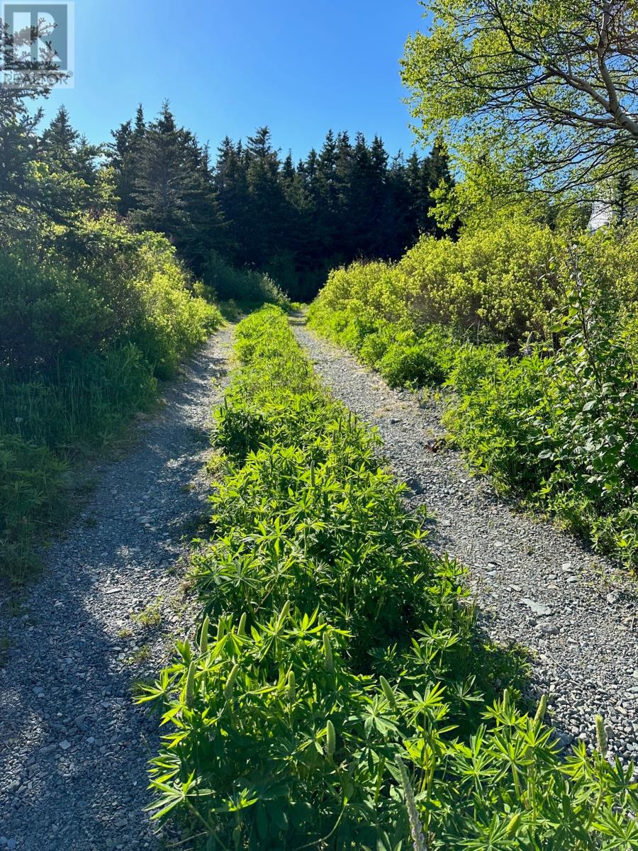0 Main Road, Middle Amherst Cove, Newfoundland & Labrador  A0C 2A0 - Photo 2 - 1287661