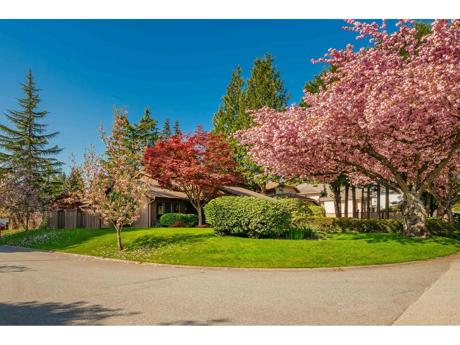 10234 156a Street, Surrey, British Columbia  V4N 2H2 - Photo 3 - R3024867