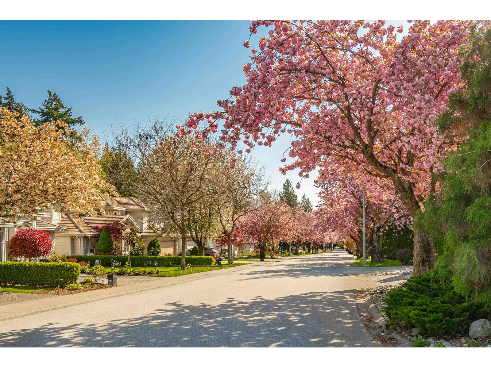 10234 156a Street, Surrey, British Columbia  V4N 2H2 - Photo 4 - R3024867