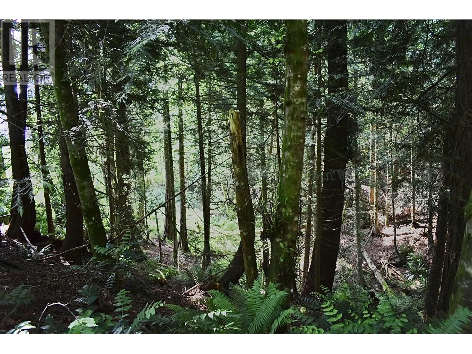 Lot 6 West Reed Road, Gibsons, British Columbia  V0N 1V9 - Photo 12 - R3020560