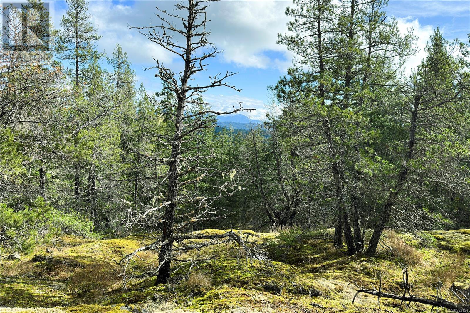 Lot 4 2140 Hyacinthe Bay Rd, Quadra Island, British Columbia  V0P 1H0 - Photo 17 - 992194
