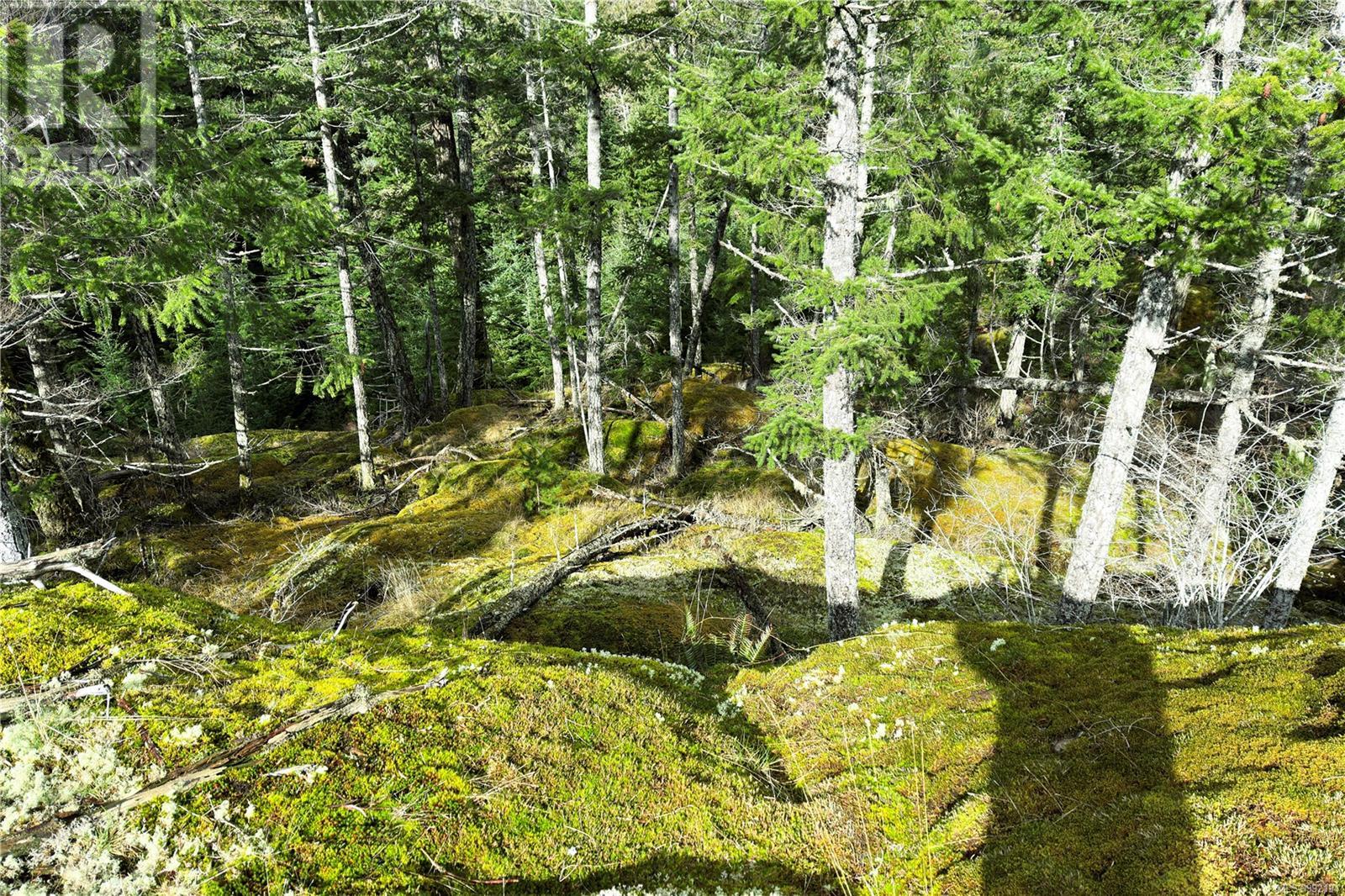 Lot 4 2140 Hyacinthe Bay Rd, Quadra Island, British Columbia  V0P 1H0 - Photo 32 - 992194