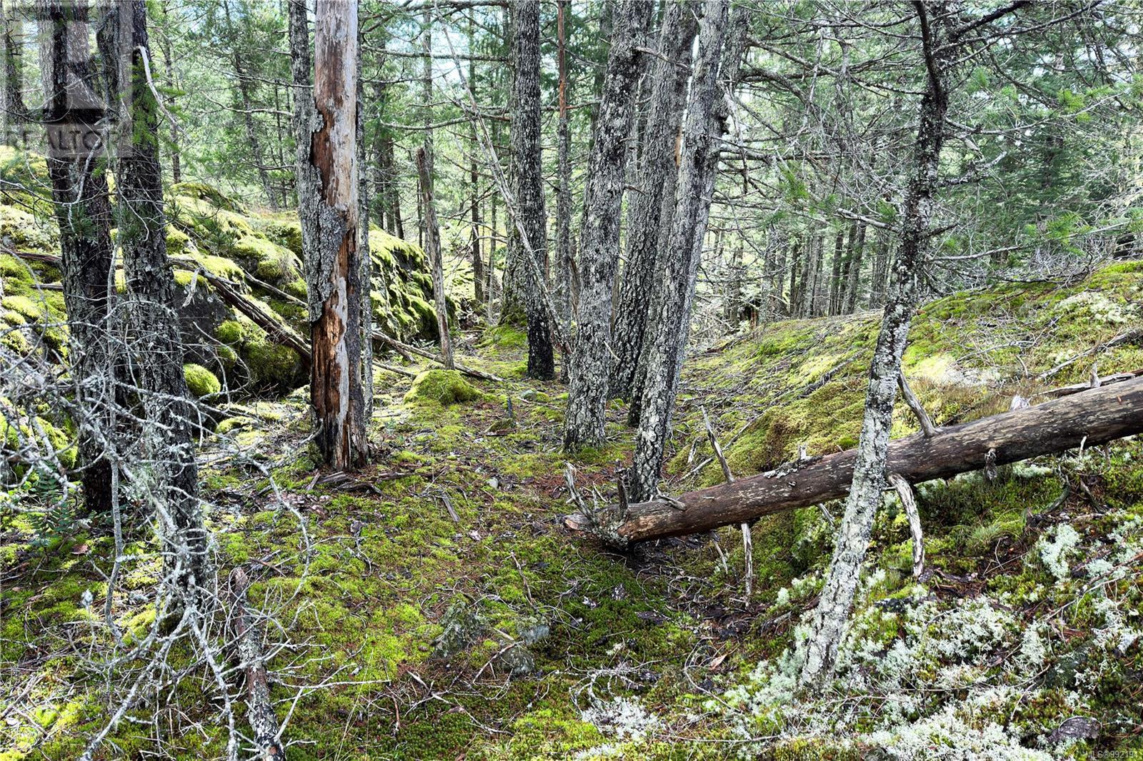 Lot 4 2140 Hyacinthe Bay Rd, Quadra Island, British Columbia  V0P 1H0 - Photo 19 - 992194
