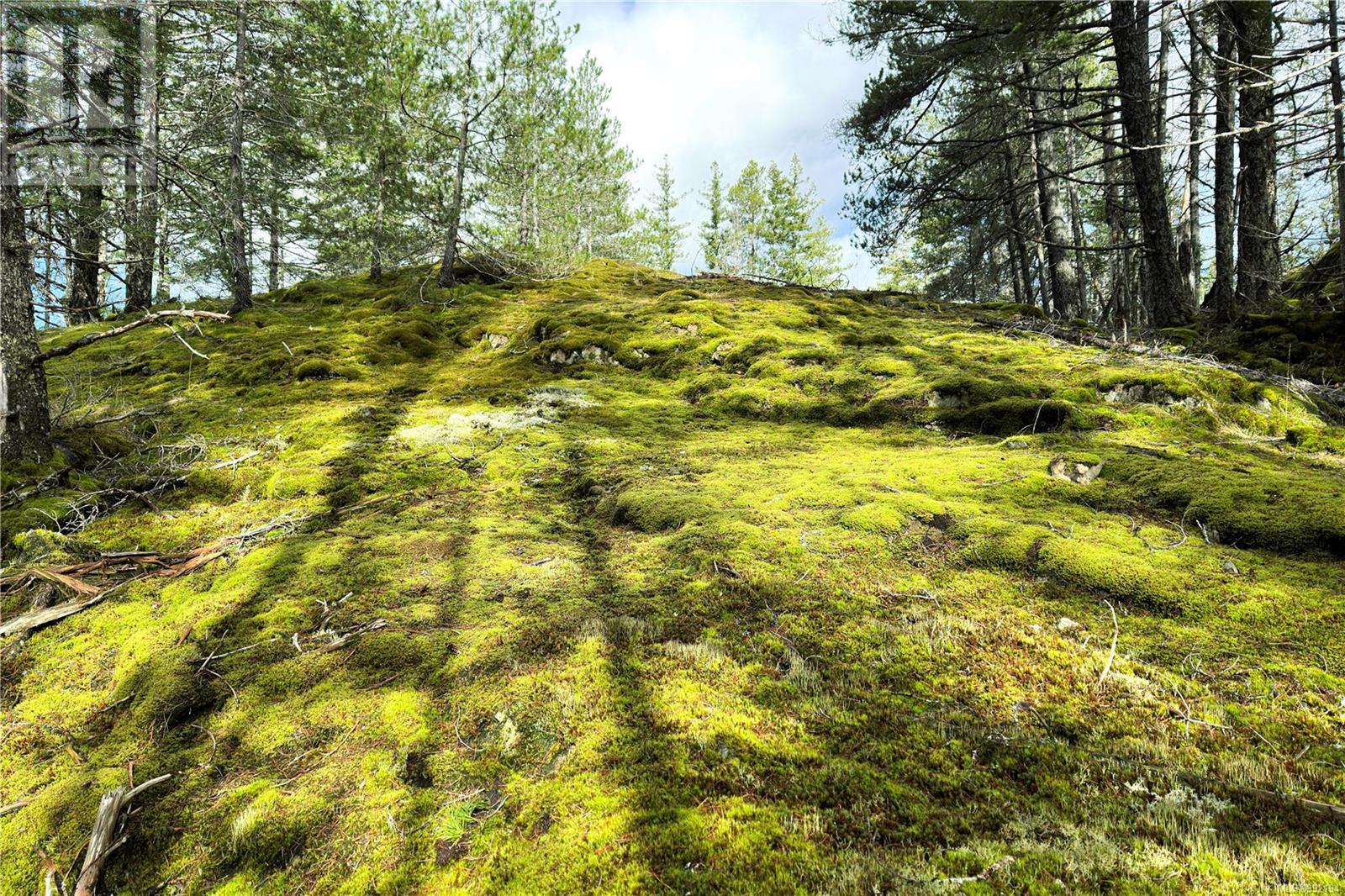 Lot 4 2140 Hyacinthe Bay Rd, Quadra Island, British Columbia  V0P 1H0 - Photo 15 - 992194