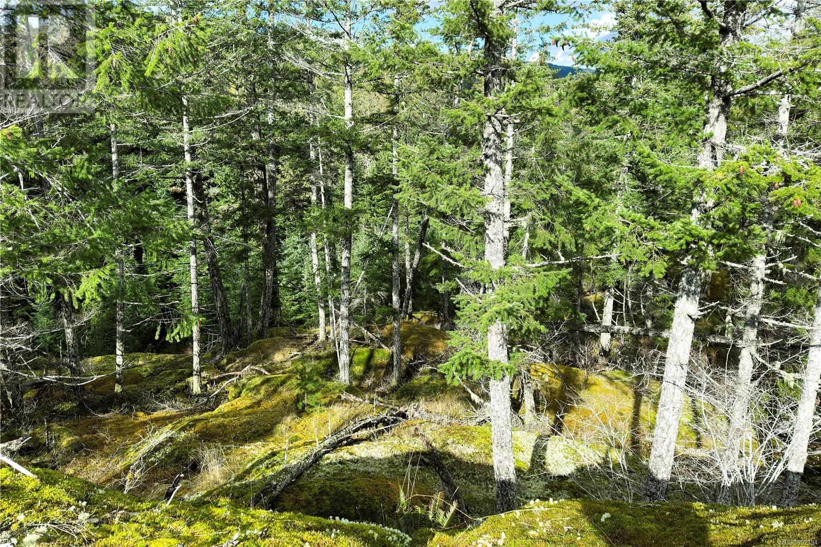 Lot 4 2140 Hyacinthe Bay Rd, Quadra Island, British Columbia  V0P 1H0 - Photo 10 - 992194