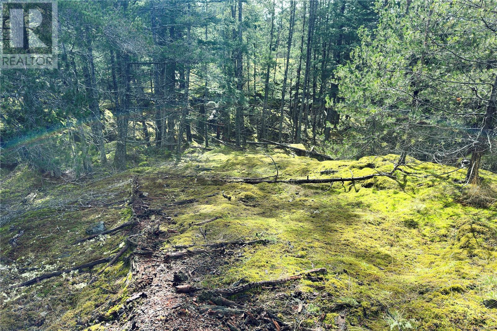 Lot 4 2140 Hyacinthe Bay Rd, Quadra Island, British Columbia  V0P 1H0 - Photo 16 - 992194