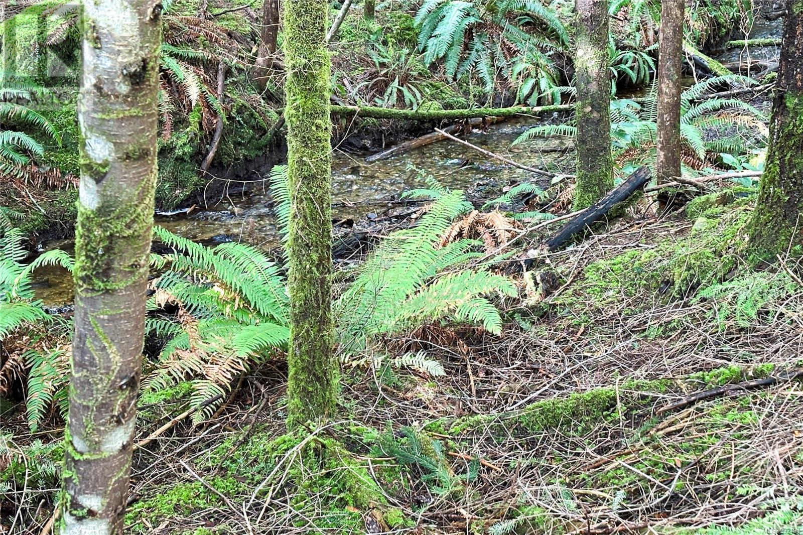 Lot 4 2140 Hyacinthe Bay Rd, Quadra Island, British Columbia  V0P 1H0 - Photo 28 - 992194