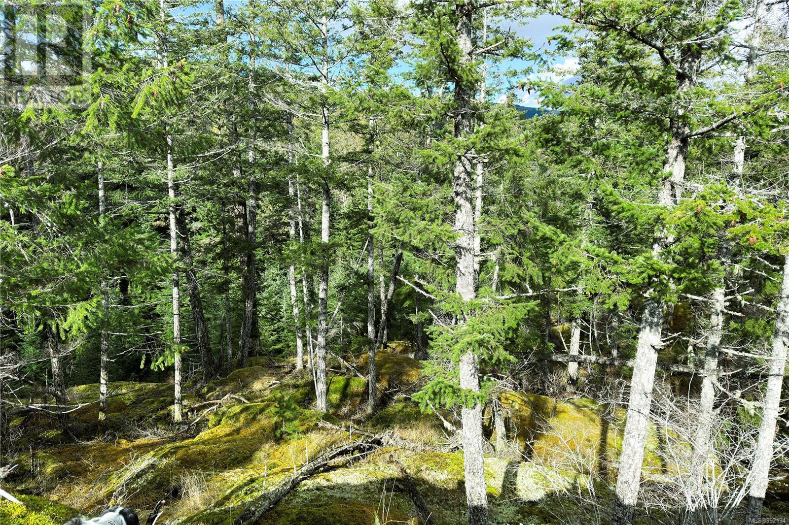 Lot 4 2140 Hyacinthe Bay Rd, Quadra Island, British Columbia  V0P 1H0 - Photo 13 - 992194