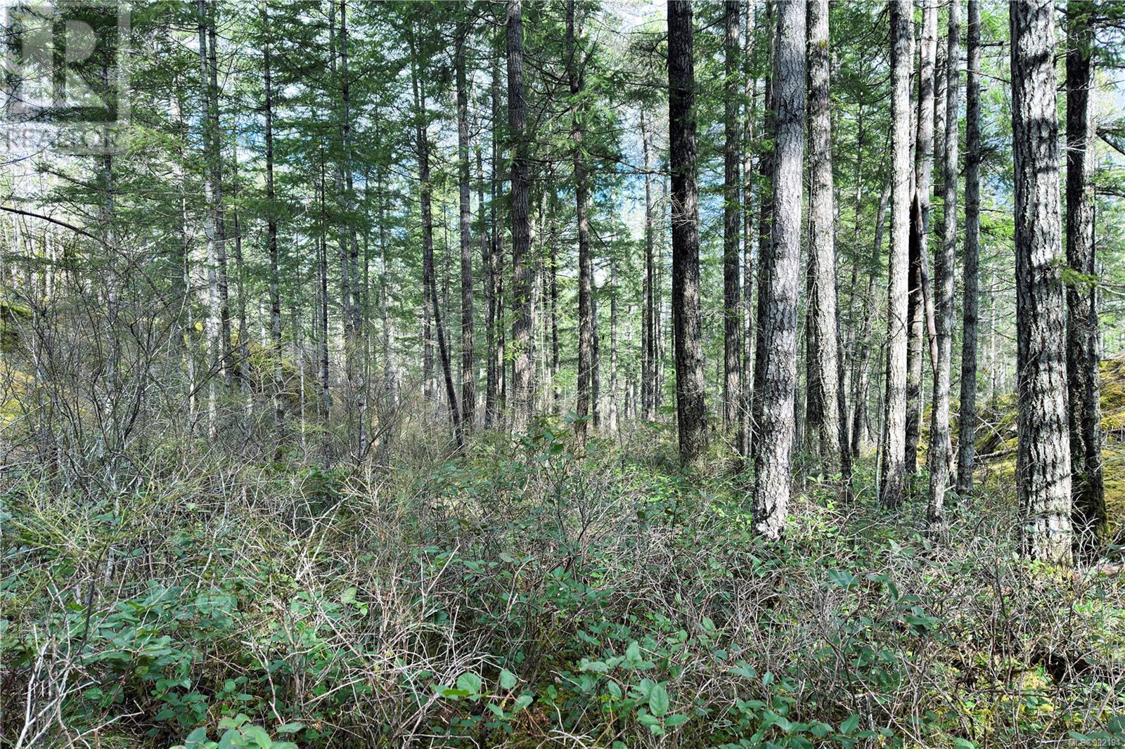 Lot 4 2140 Hyacinthe Bay Rd, Quadra Island, British Columbia  V0P 1H0 - Photo 5 - 992194