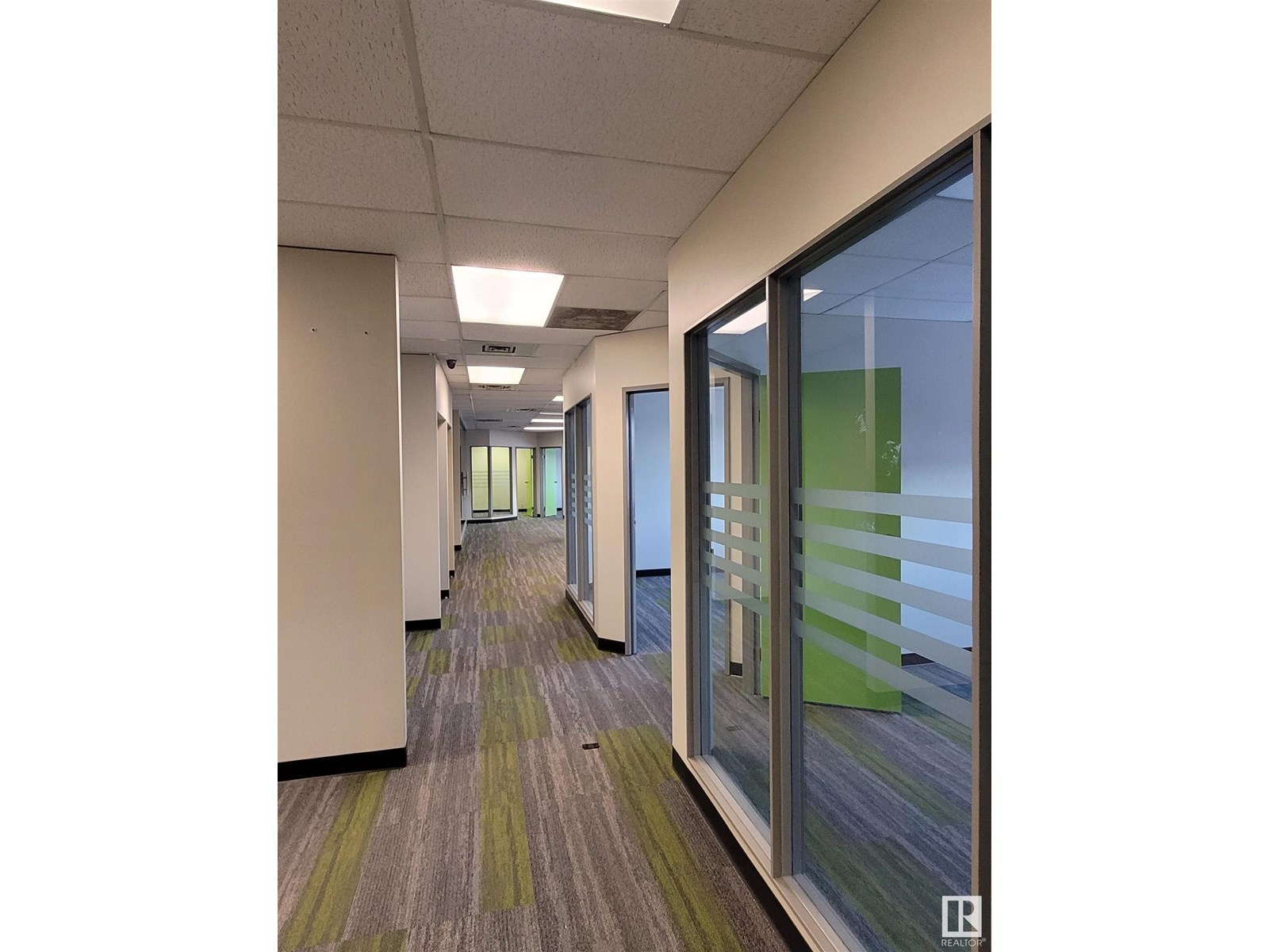 11834 111 Av Nw, Edmonton, Alberta  T5G 0E1 - Photo 4 - E4446803