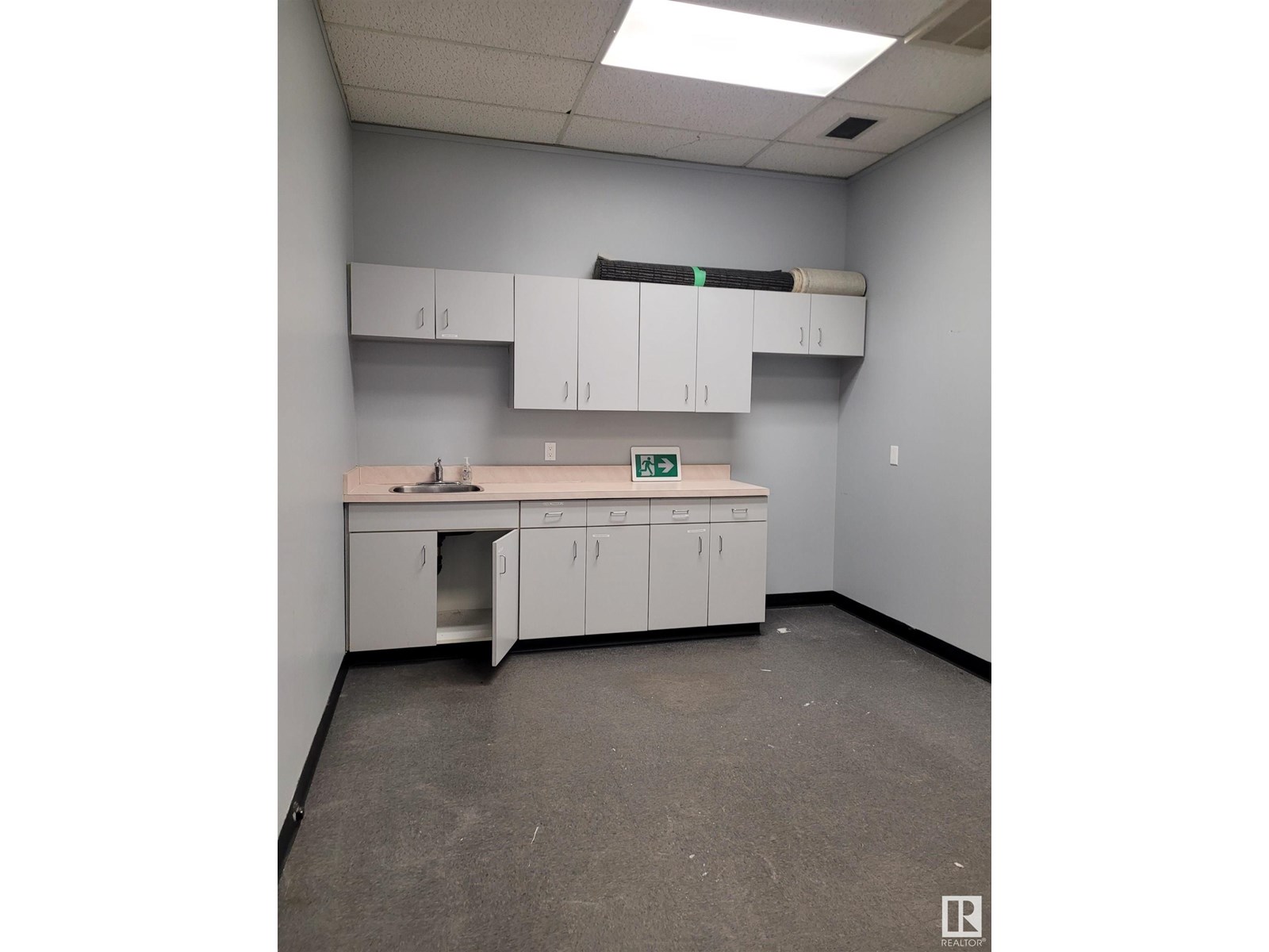 11834 111 Av Nw, Edmonton, Alberta  T5G 0E1 - Photo 8 - E4446803