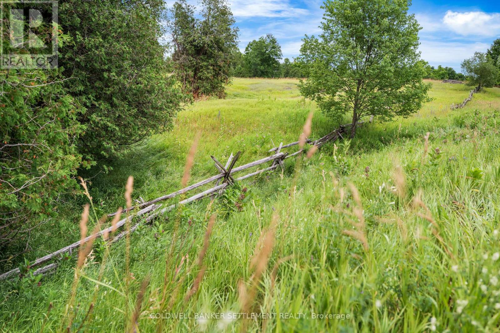 Pt 2 Herron Mills Road, Lanark Highlands, Ontario  K0G 1K0 - Photo 7 - X12274562