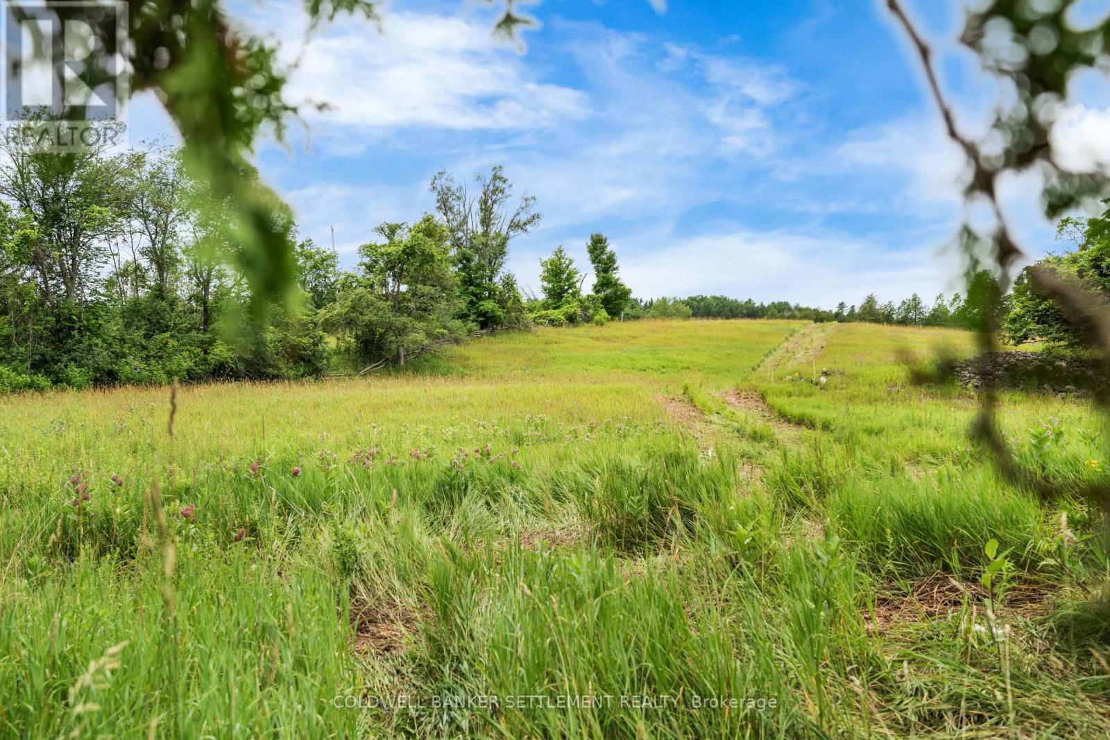Pt 3 Herron Mills Road, Lanark Highlands, Ontario  K0G 1K0 - Photo 6 - X12274571
