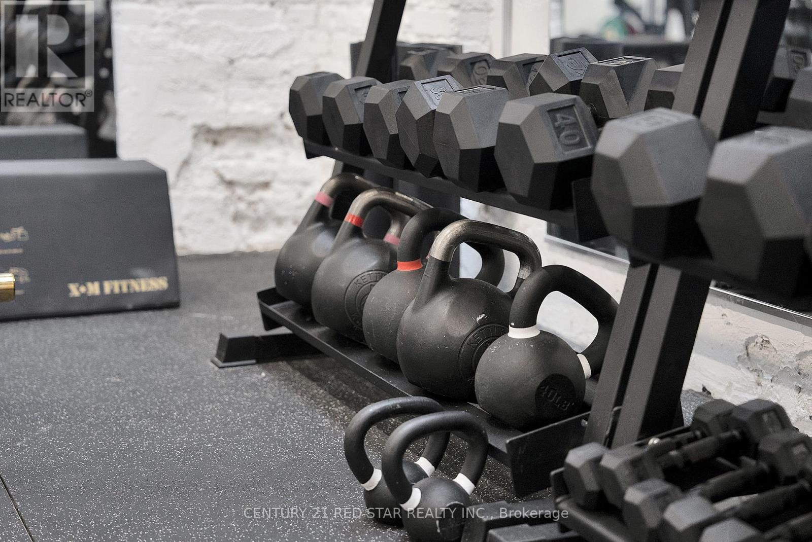 11 - 58 Wade Avenue, Toronto, Ontario  M6H 1P5 - Photo 29 - W12274683