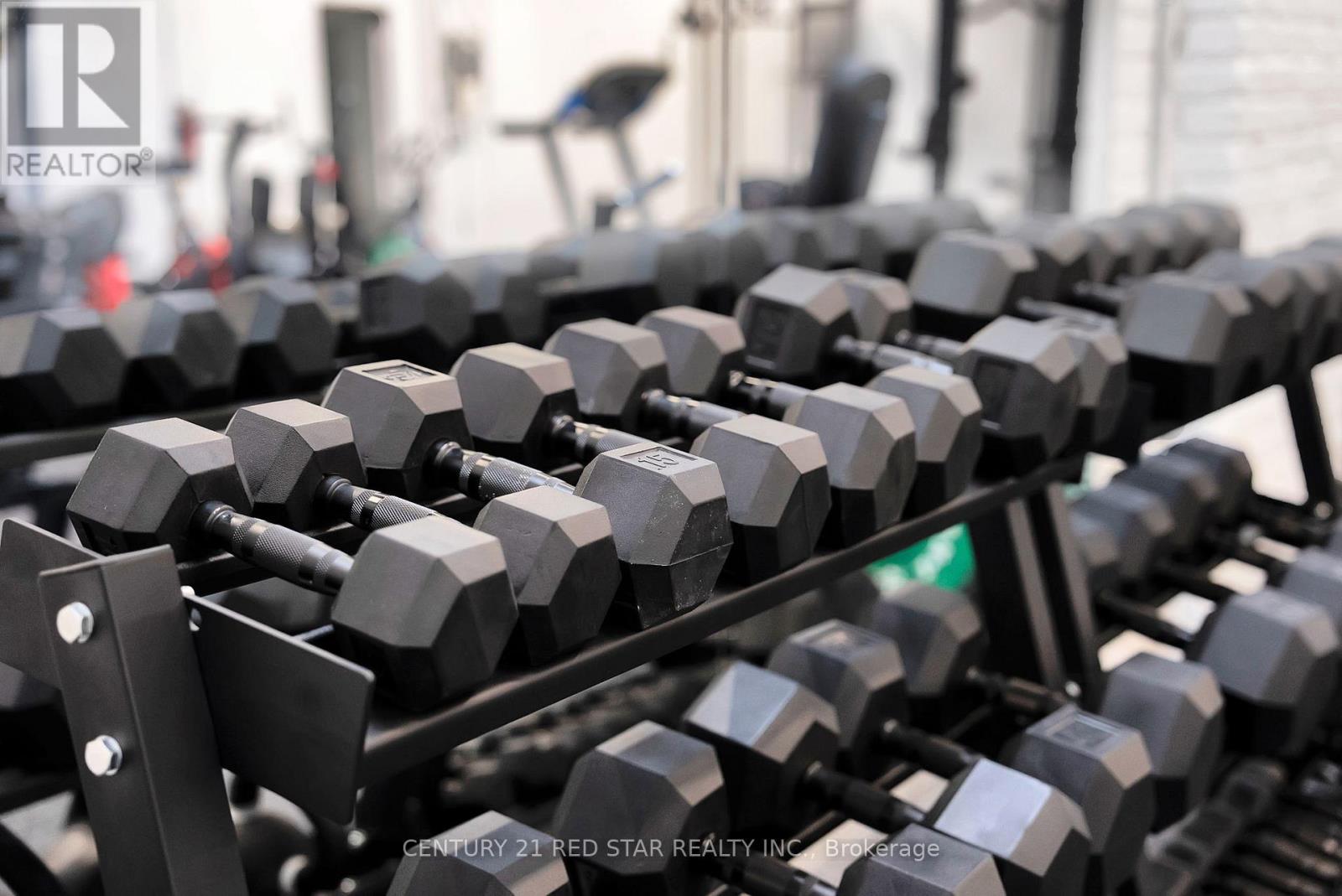 11 - 58 Wade Avenue, Toronto, Ontario  M6H 1P5 - Photo 31 - W12274683