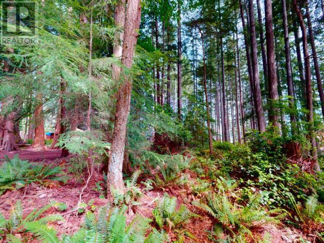 1508 Savary Island Road, Savary Island, British Columbia   - Photo 8 - 19054