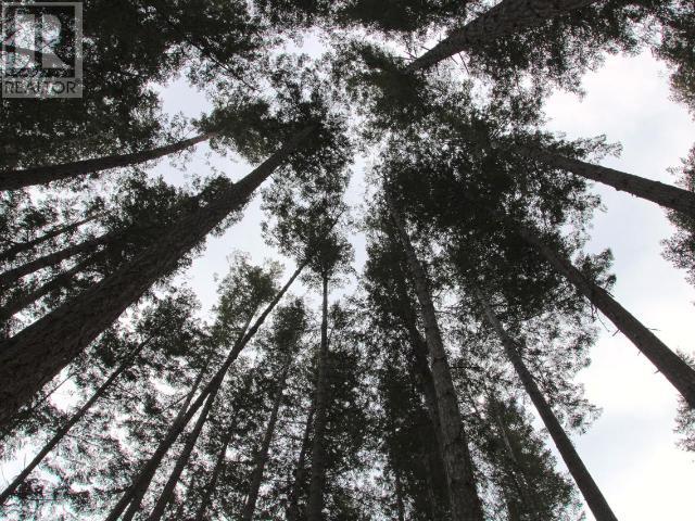 1508 Savary Island Road, Savary Island, British Columbia   - Photo 9 - 19054