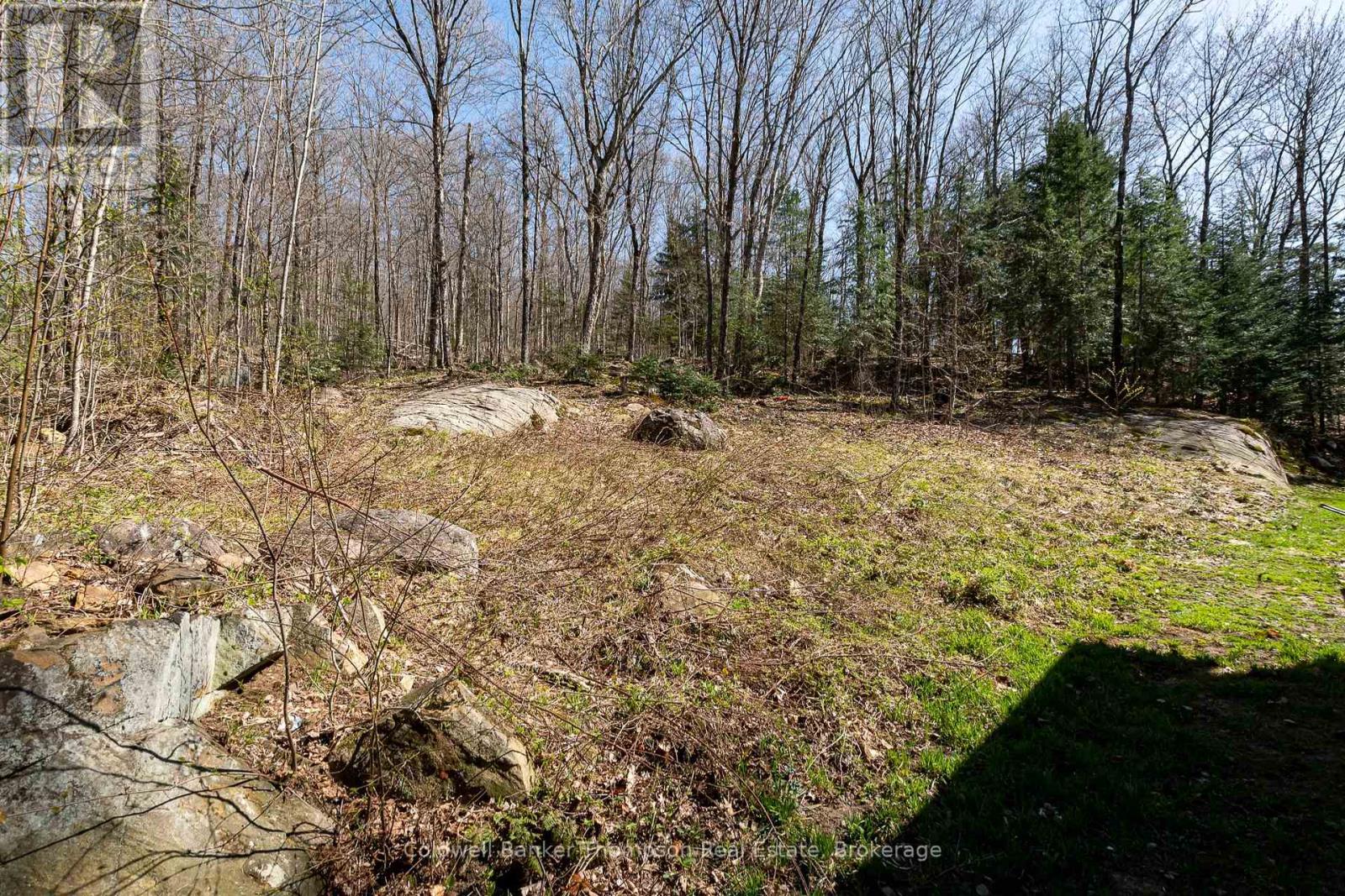 751 Old Muskoka Road, Huntsville, Ontario  P0B 1M0 - Photo 30 - X12274849