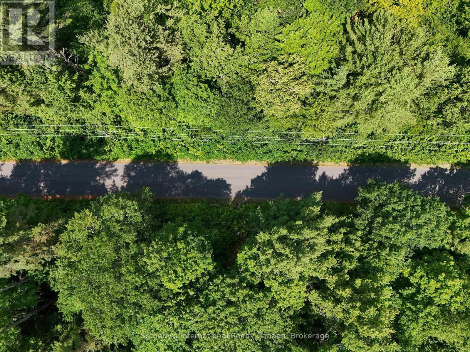 1098 OLD HWY 117, lake of bays (ridout), Ontario