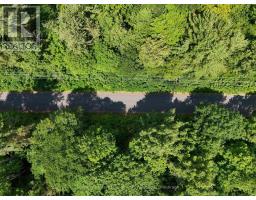 1098 OLD HWY 117, lake of bays (ridout), Ontario