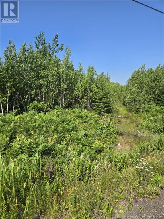 Lot 5 Route 10, Cumberland Bay, New Brunswick  E4A 3A3 - Photo 4 - NB122666