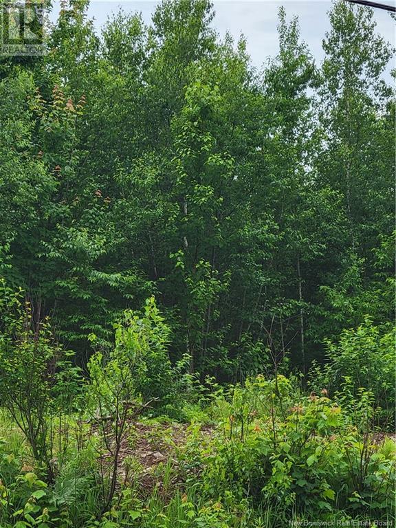Lot 5 Route 10, Cumberland Bay, New Brunswick  E4A 3A3 - Photo 2 - NB122666