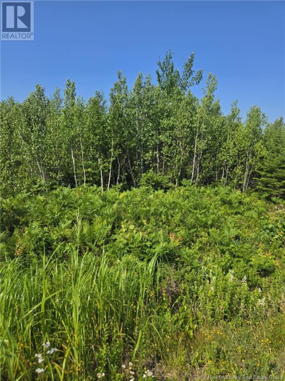 Lot 5 Route 10, Cumberland Bay, New Brunswick  E4A 3A3 - Photo 5 - NB122666