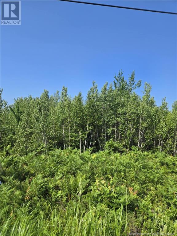 Lot 7 Route 10, Cumberland Bay, New Brunswick  E4A 3A3 - Photo 5 - NB122668