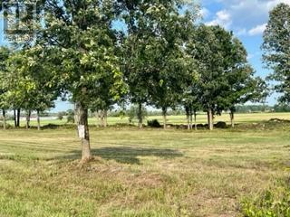 0 Kitley Line 8 Road, Elizabethtown-Kitley, Ontario  K0E 1H0 - Photo 10 - X12275308