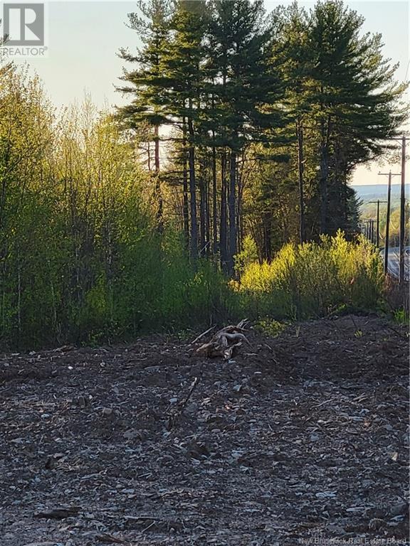 Property at Lot 6 Route 10 image 4