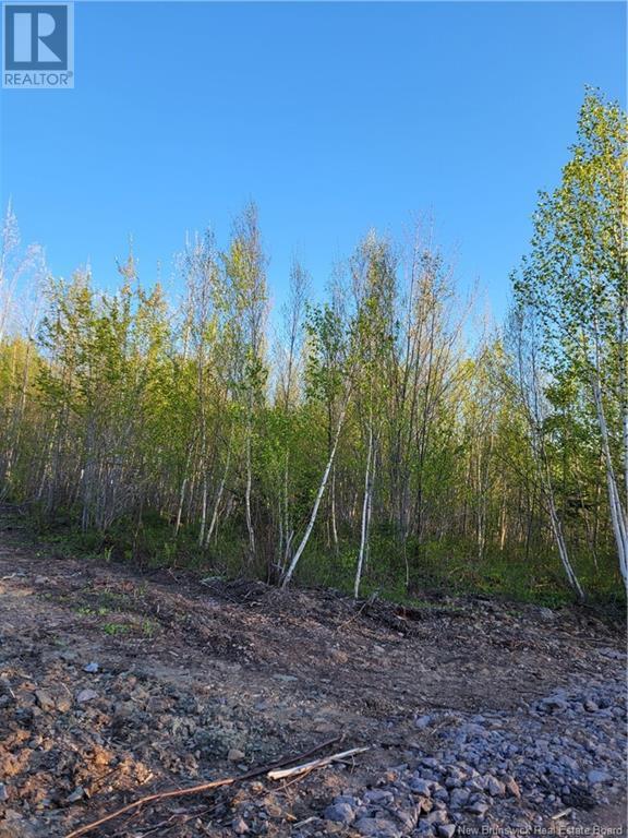 Property at Lot 6 Route 10 image 5