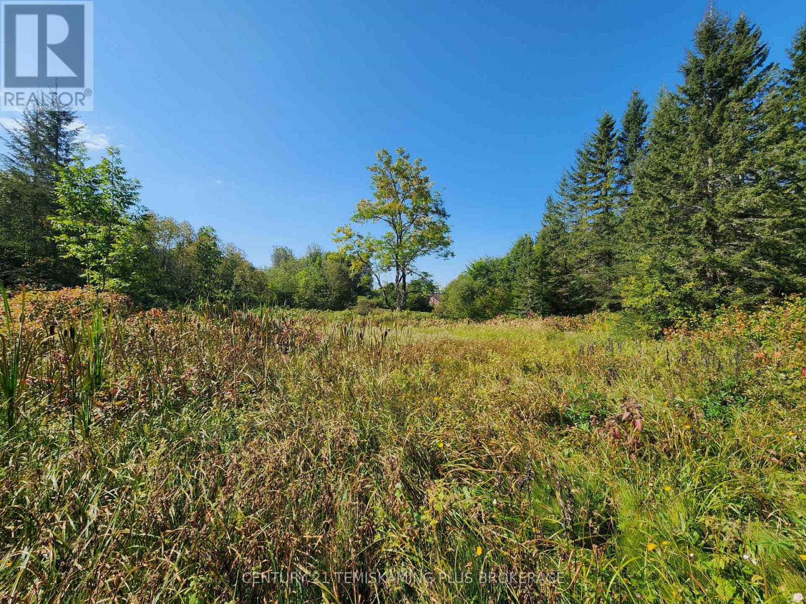 Lt 7-9 Main Street, Charlton And Dack, Ontario  P0J 1B0 - Photo 10 - T12275541