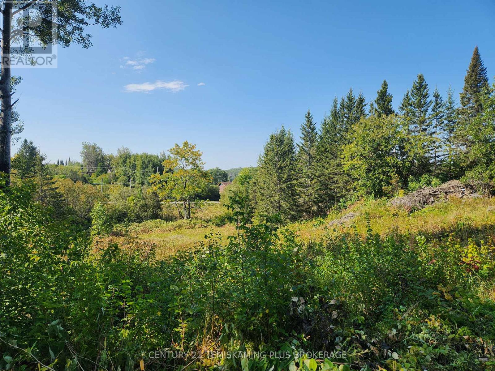 Lt 7-9 Main Street, Charlton And Dack, Ontario  P0J 1B0 - Photo 2 - T12275541