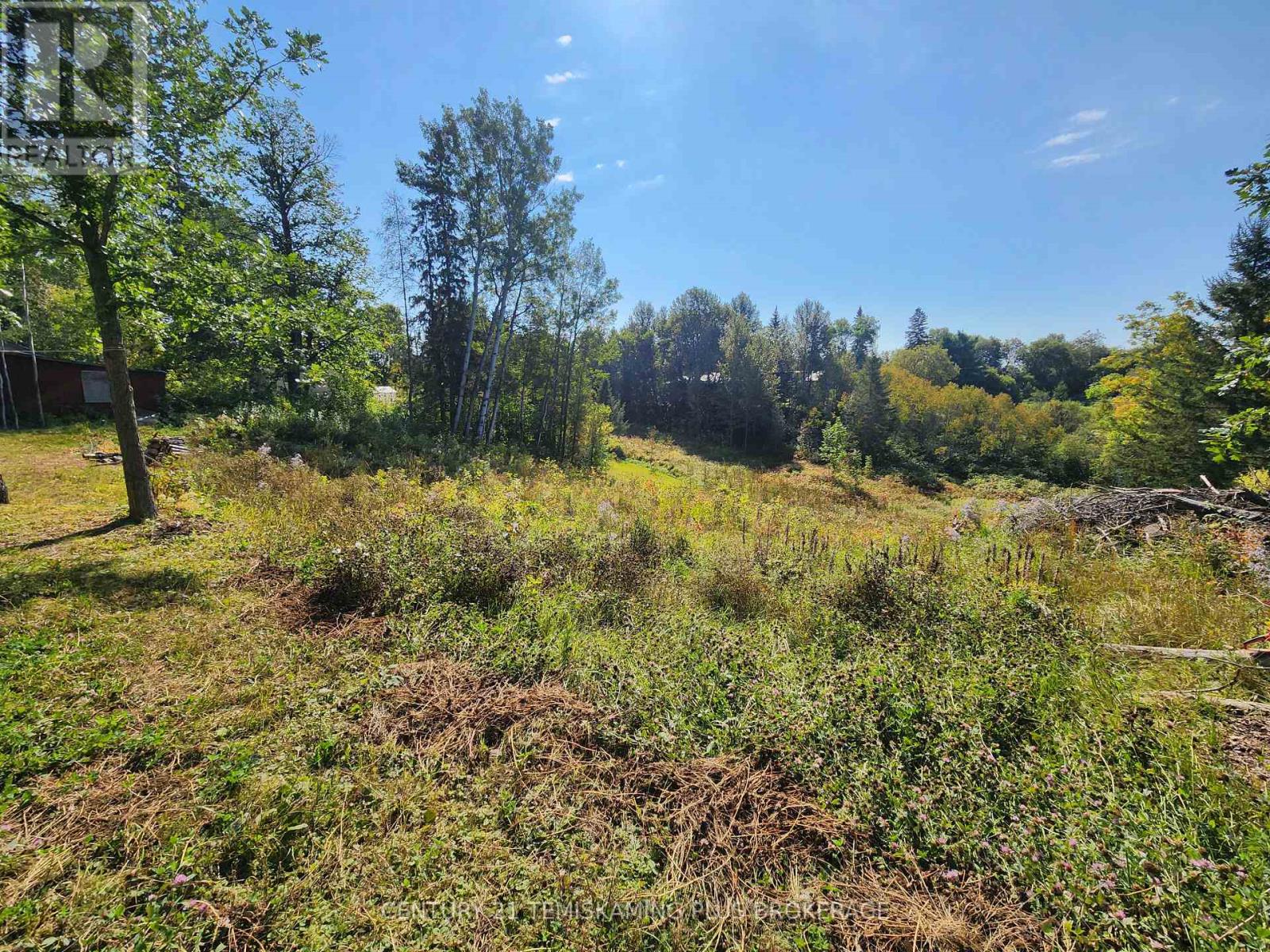 Lt 7-9 Main Street, Charlton And Dack, Ontario  P0J 1B0 - Photo 4 - T12275541